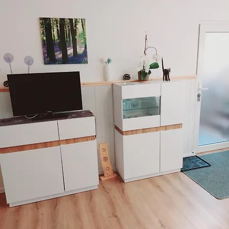Modernes Souterrain Black Forest Mit Separatem Eingang Und Kfz-stellplatz Appartement